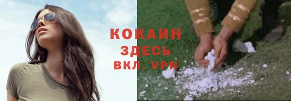 стафф Касимов