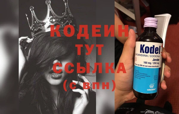 стафф Касимов
