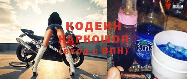 стафф Касимов