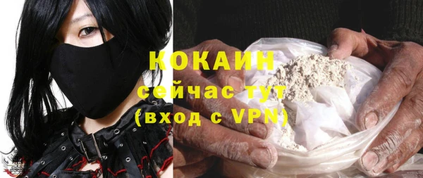 стафф Касимов