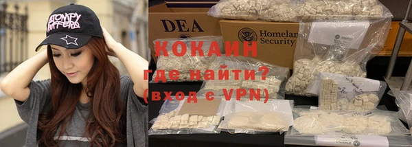 дживик Инта