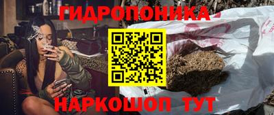 шишки Волжск