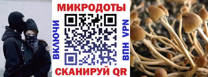 Галлюциногенные грибы прущие грибы  купить наркотик  Кизилюрт 