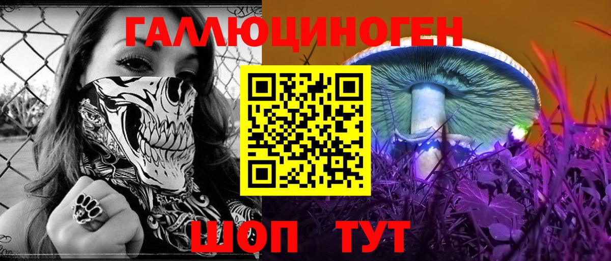 Псилоцибиновые грибы Magic Shrooms  Вход с VPN  Кизилюрт 