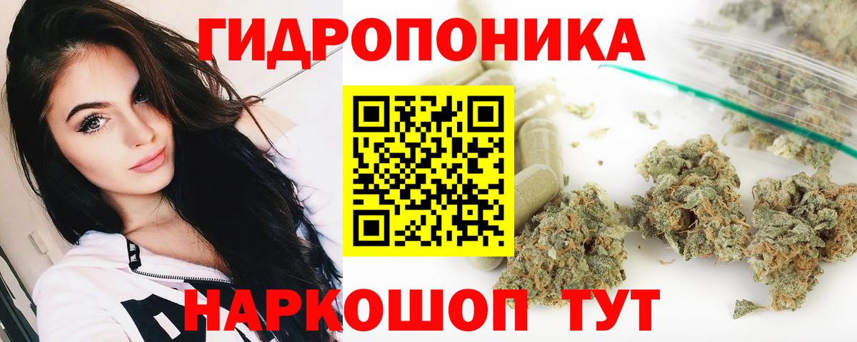 Марихуана сатива  МАРИХУАНА ГИДРОПОН  Канабис план  Шишки марихуана White Widow  Кизилюрт  Вход с VPN 